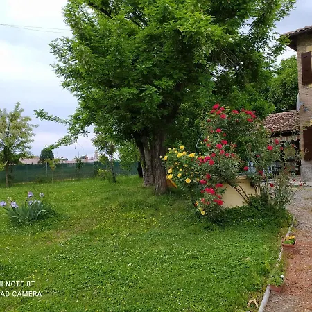 Bed & Breakfast La Rosa Selvatica 3*