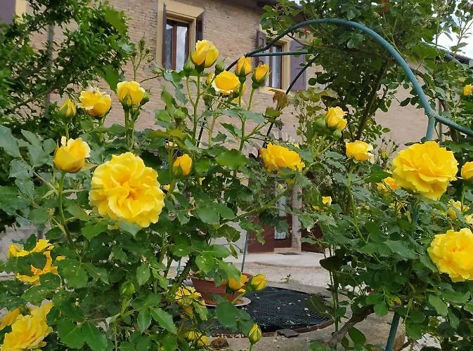 Bed & Breakfast La Rosa Selvatica 3*