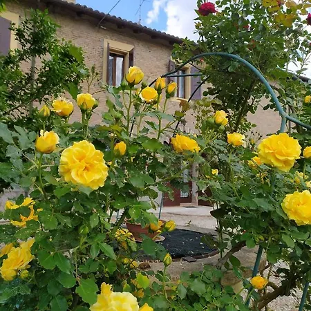 Frühstückspension La Rosa Selvatica 3*