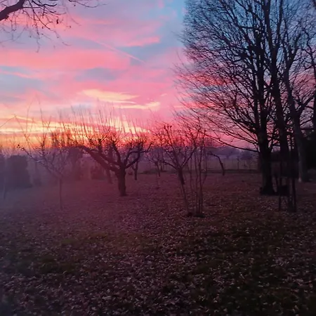 La Rosa Selvatica Ravarino