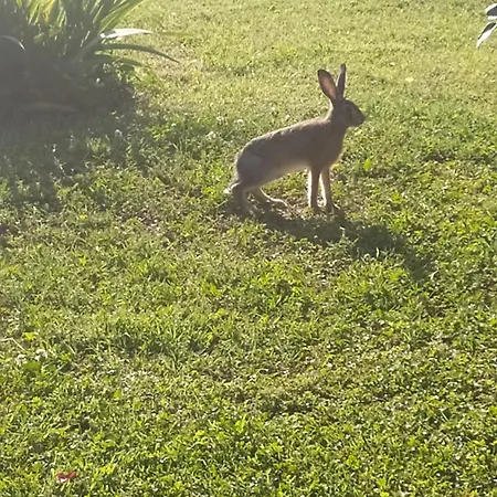 La Rosa Selvatica לינה וארוחת בוקר 3*