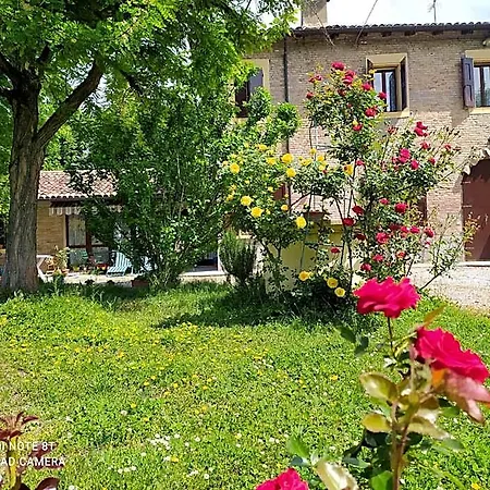 La Rosa Selvatica 3*