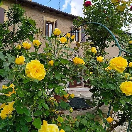 La Rosa Selvatica Frühstückspension