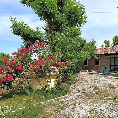 La Rosa Selvatica Frühstückspension