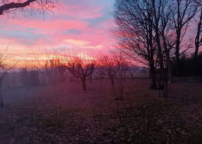 La Rosa Selvatica Ravarino